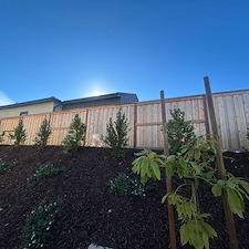 Fence-Staining-Project-San-Luis-Obispo 4